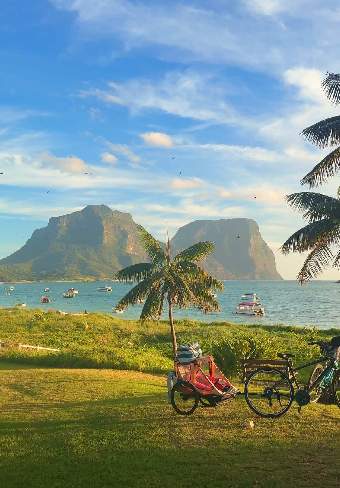 Every moment is a dream on World Heritage-listed Lord Howe Island 🏝️Around a two hour flight from Warrane (@Sydney) is @Lord Howe Island Tourism, a pristine paradise made up of 70% permanent park reserve to preserve its natural beauty 🌲 Join the Seven Peaks Walk based out of IG/pinetreeslodge for an unforgettable 5 day adventure amongst nature.  🎥 : @Mark Fitz - Travel Tips ✈️  📍: Lord Howe Island, @New South Wales   #SeeAustralia #ComeAndSayGday #FeelNSW #VisitordHoweIsland ID: Camera pans across an island coastline, with a grassy field, two bikes and palm trees in the foreground and a golden beach in the distance leading to two towering mountains.