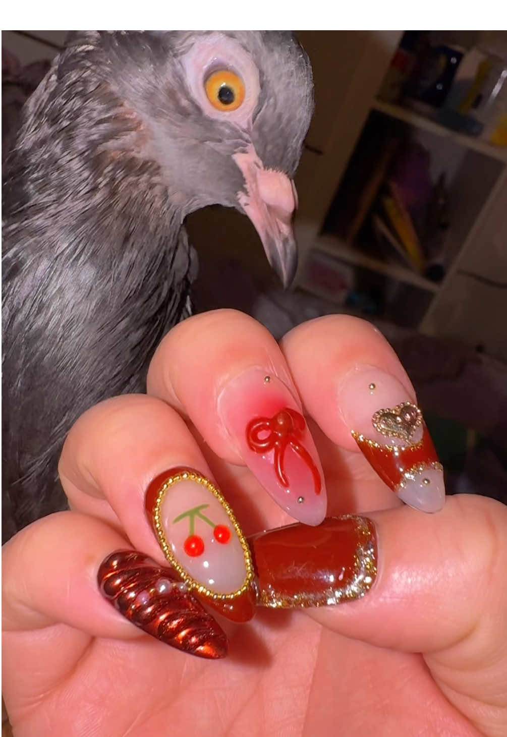 pigeon approved 💯 #pressons #nails #fyp #trending #pigeon 