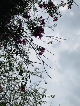 #Ki #sundor#view#🌧️❤️‍🩹#foryoupage #viralvideo 