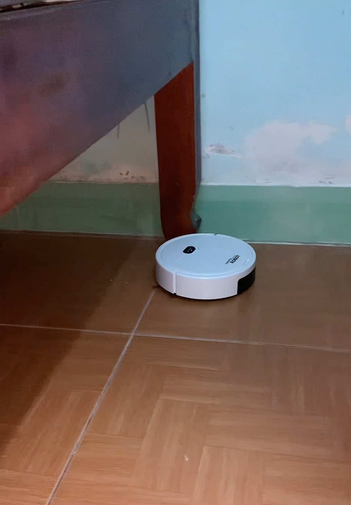 Robot hút bụi #robothutbui #xuhuong 
