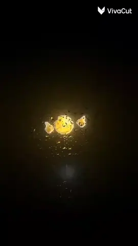بوتي بوتي بوتي 