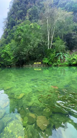 Suối Lê Nin - Pác Bó #donglongbong #caobang #suoilenin #pacbo 