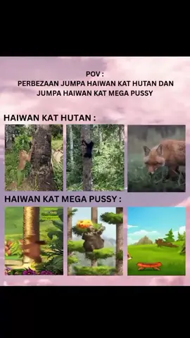 Perbezaan Jumpa Haiwan Kat Hutan Dengan Jumpa Haiwan Kat Mega Pussy!!#fyp #amoilisantii #malaysia #malaysiatiktok #fypage #fypシ゚#fypviralシ 