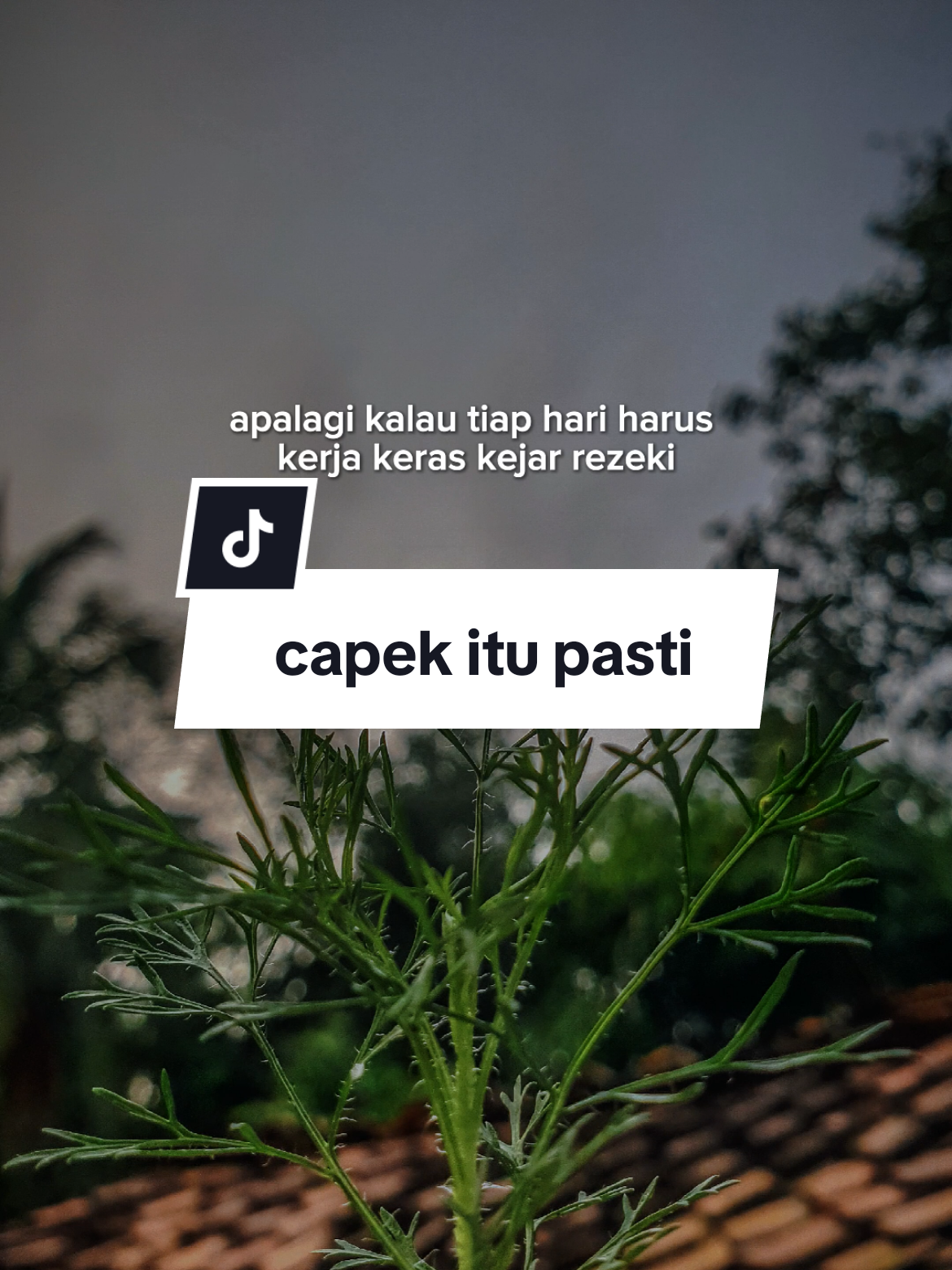 capek itu pasti #CapCut #katakata #quotes #quotestory #kehidupan #story #fyppppppppppppppppppppppp #viral #tranding #storywa #status #fyp #motivasihidup #demikeluarga #anak #istri #semangatberjuang #kerjakeras 