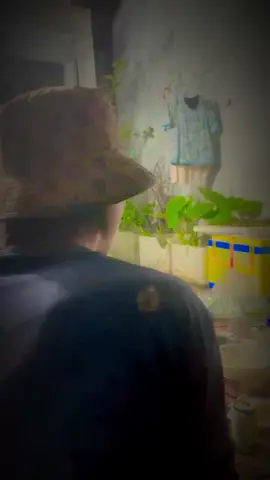 #lễ vui vẻ mọi người ơi  #ánh may vô tình#