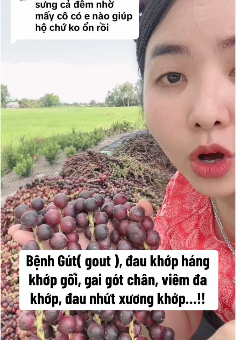 Bài Thuốc trị Bệnh Gút( gout ), đau khớp háng khớp gối, gai gót chân, viêm đa khớp, đau nhứt xương khớp, nhiều người dùng đã cải thiện #benhgut #benhgout #daunhutxuongkhop #baithuochay #baithuocdangian 