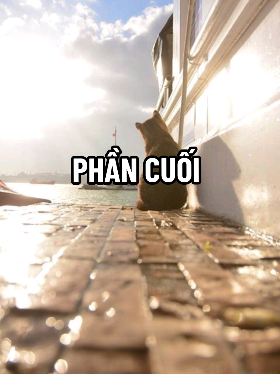 Trả lời @vncnbdj3 TRUYỆN NGẮN || PHẦN CUỐI • Chúa Hề Cũng Phải Gọi Cụ PCuoi #audio #kechuyen #truyenngan #truyenaudio #xh #fyp 