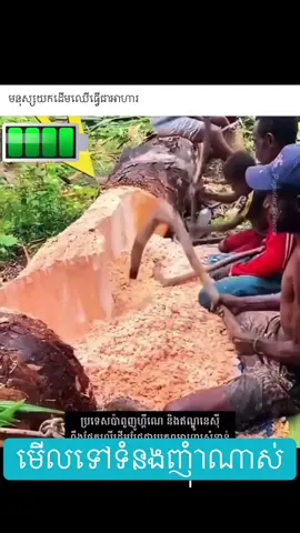 តោះញាំ