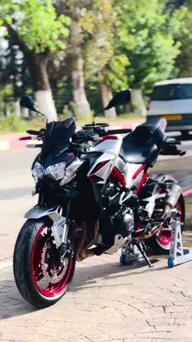 Z900#kawasaki #yamaha #blida09_tiktok_algérien💞💞💞 