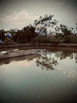 #ctna_5th11 #tamtrang_camxuc #xuhuongtiktok 