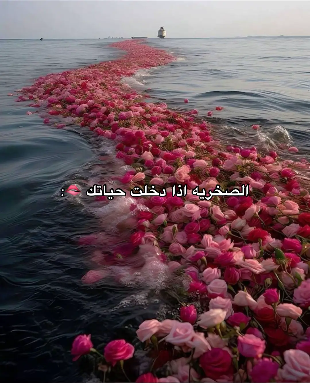 #الزبن🔱 #بني_صخر #typ #foryou #fypシ゚ 