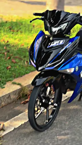 #y15zr #y15zr1malaysia #xedovietnam🇻🇳 #ex150đokieng #xh #fup 
