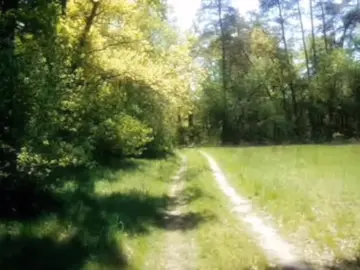 ₊˚ʚ 🌱 ₊˚✧ﾟ. #fypツ #core #digitaldiary #memories #digitalcamera #camcorder #digitalvideo #foryou #digital #nostalgia #nostalgic #spring #nature #fairy #photography #cutecore🎀🦴🍮🐾 #cutecore🍮🐇🎀🎧 