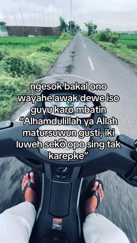 #fyp #jogja24jam #gondes #gondesjogja #rojaliliar👹 #zmn14 