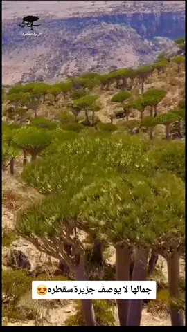 جمال سقطري ♡♡   جمالها لا يوصف  سقطرى وجمالها طبيعي 🤗