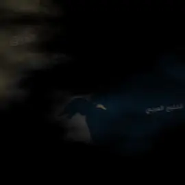 خور عبدالله في اليد✊ #العراق🇮🇶 #البصرة #الكويت🇰🇼 #خور_عبدالله #لايك__explore___ #trending #tiktok_no_me_lo_borres #تيك_توك_عراقي #تيك_توك #fypシ #foryou #fypシ #الشعب_الصيني_ماله_حل😂😂 #الامام_علي_بن_أبي_طالب_؏💙🔥 #لايك__explore___ 