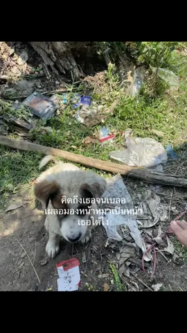 #เธรด #trend #fyp #อย่าปิดการมองเห็นนะ #เธรดกวนๆ #เธรดคนคลั่งรัก 