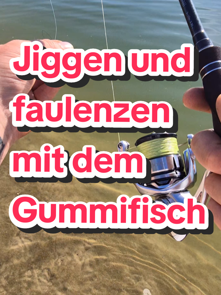 #Gummifisch #Jiggen #Faulenzen #Raubfisch #Kunstköder #Barsch #Hecht #Zander 