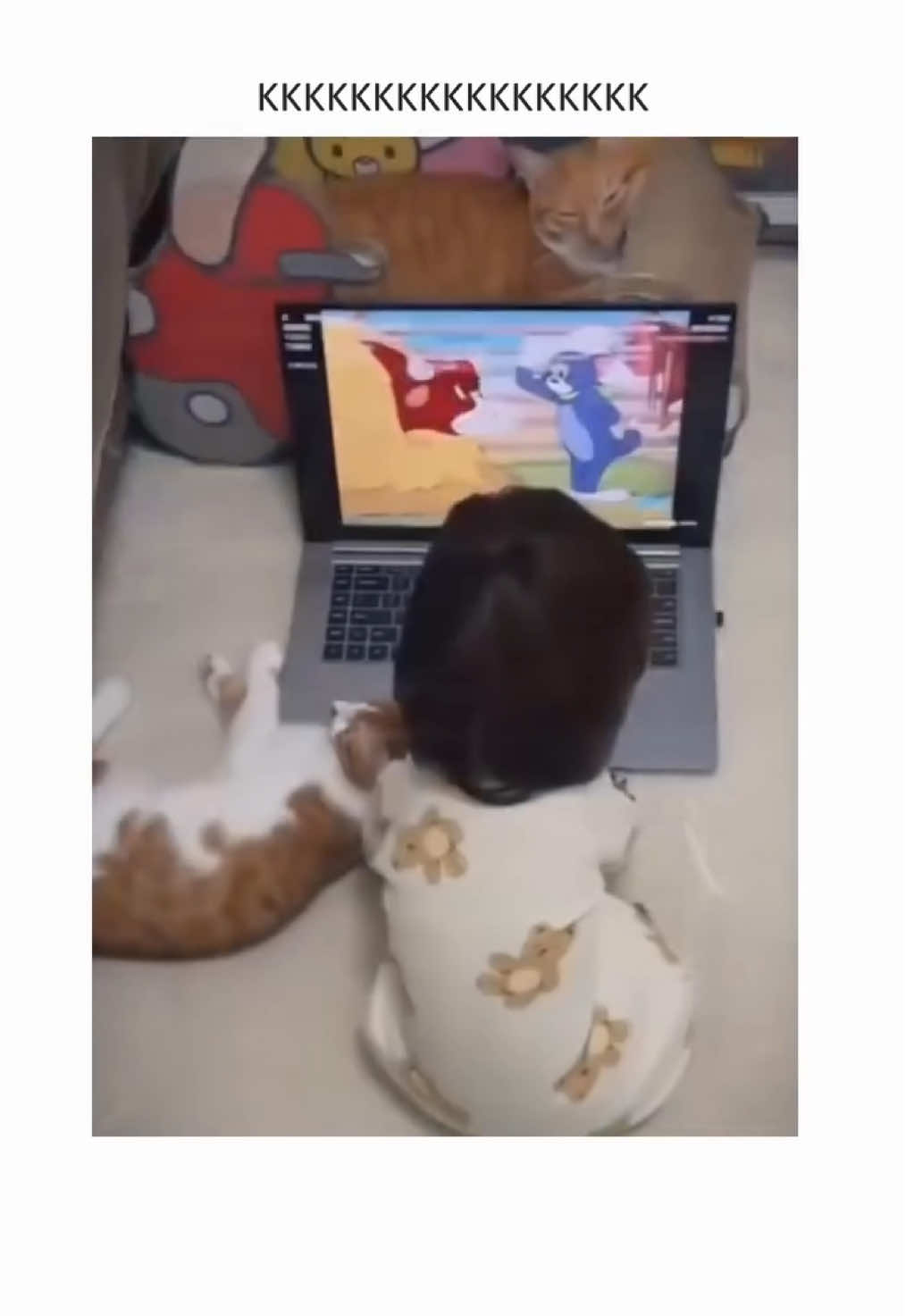 Bora, Lorenzo. Dormir!  #dogsoftiktok #cachorros #cats #animais 