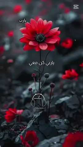 #يارب #يارحمن #يامن #بلسراير #مطلع#