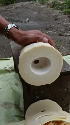 young bamboo cutting #asmr #satisfying #rebung #fyp 