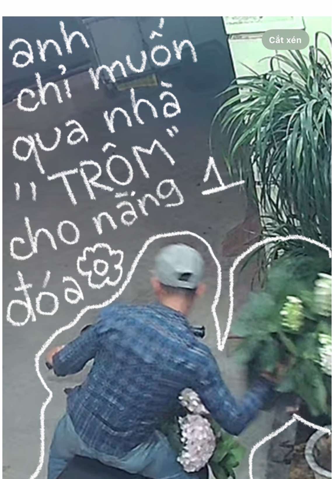 a chỉ muốn qua nhà trộm cho nàng 1 đoá hoaa @namnguyn cảm ơn idea của m mà t cười cả đêm qua 😀 #fyp #drt 