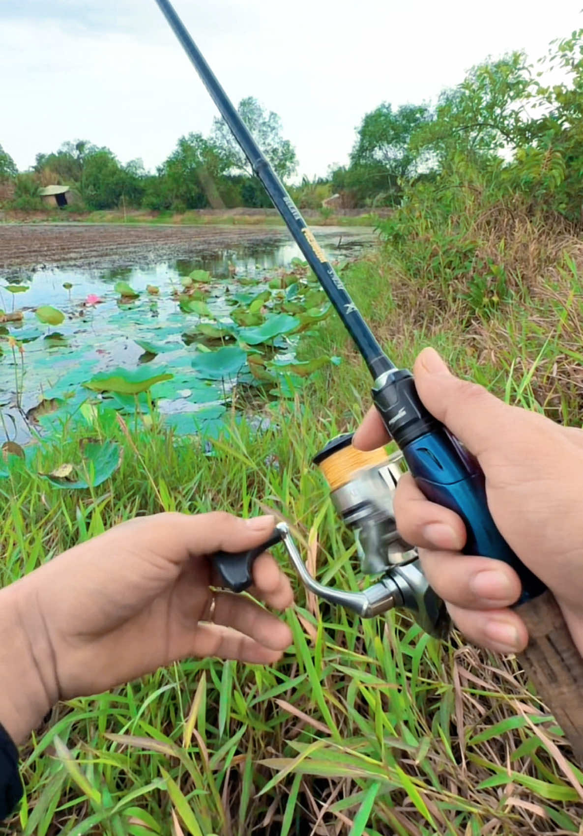 Đâu nhất thiết phải dính cá đâu 🥲 #xuhuong #lure #lurefishing #lurecaloctunhien #fishing #dcgr #xuhuong 