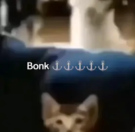 Help, ts is so funny 😭😭 #car #bonk #funny #laugh #laughing #real #fr #metal #fyp 
