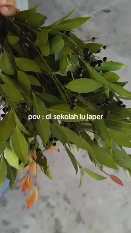 #xybca #fyppppppppppppppppppppppp 