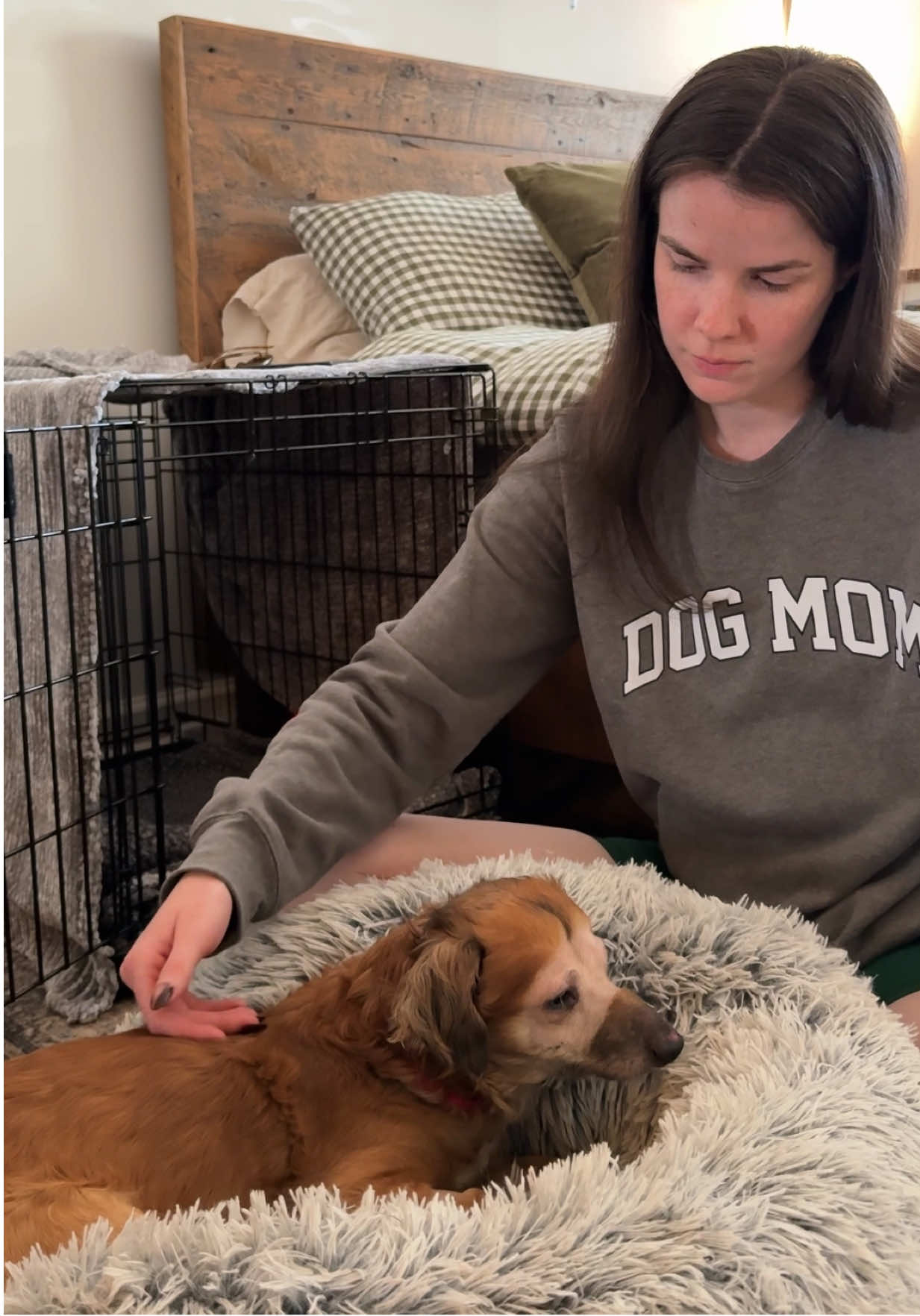 Day 5 with Tiki: it was a GREAT day with our brave boy 🥹 @Muddy Paws Rescue @ASPCA 