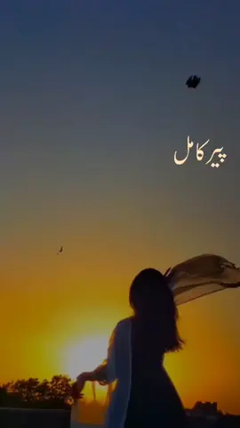 whole story of peer e Kamil 🥰🌹😍 #novelreader📕📚 #aestheticnoveledits #peerekamilbyumeraahmed #plzviral🥺🥺🙏🙏foryoupage #repost #foryoupage #viralcontent