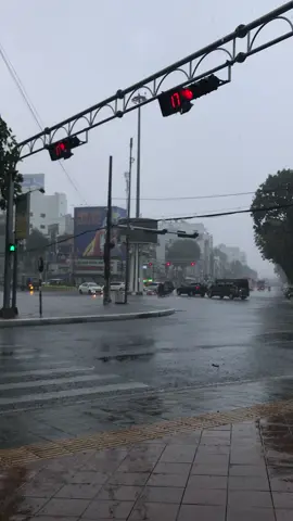 Chúng ta gặp nhau cũng vì cơn mưa ấy ,xa nhau cũng là cơn mưa ấy...#doaphudungcuoicung #thanhhung #mưa #radio #buon_tam_trang #music #65cantho #xuhuongtiktok 