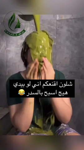 السدر نبتة الجنة 🍃 وفوائدها عظيمة للشعرة 🍃 والبشره ولسحب الطاقة السلبيه والعين والنفس 🌸  اذا رايدة كثافة وقوة وطول وشعر صحي اعتمدي عليه طول عمرج وانصحي بي احبابج وعائلتج يصيبج الاجر لان توجهيهم صح ✅ مخلوط #ورق_سدرة 🍃 للطلب أو الاستفسار راسلونا 📲 #creatorsearchinsights 