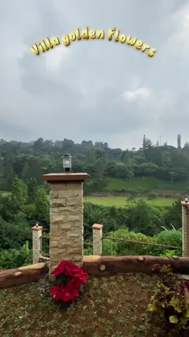 #villapuncak #villapuncakbogor #villapuncakmurah #villapuncakkeluarga #puncakbogor #infovillapuncak 