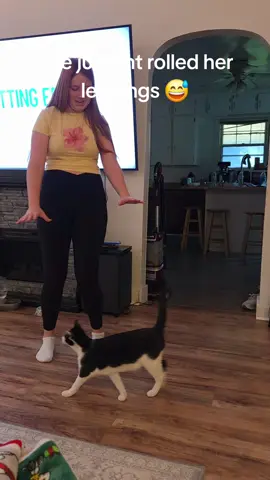 Megatron just wanted some love. He is such a clingy feline 🤭🥰 #cat #fyp #catsoftiktok #cats #tuxedocat #cat 