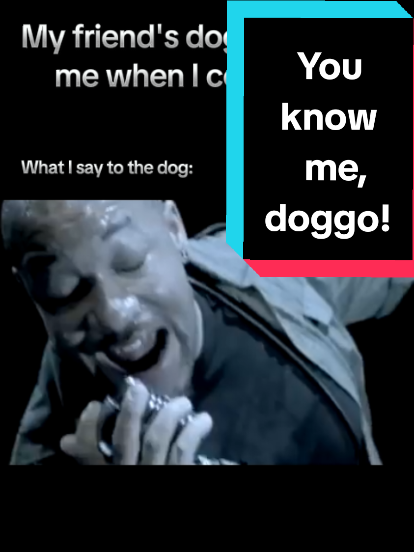 #fy #fyp #fypシ #metal #meme #memes  #killswitch #engage #killswitchengage #dog #bark #foryoupage @Killswitch Engage 