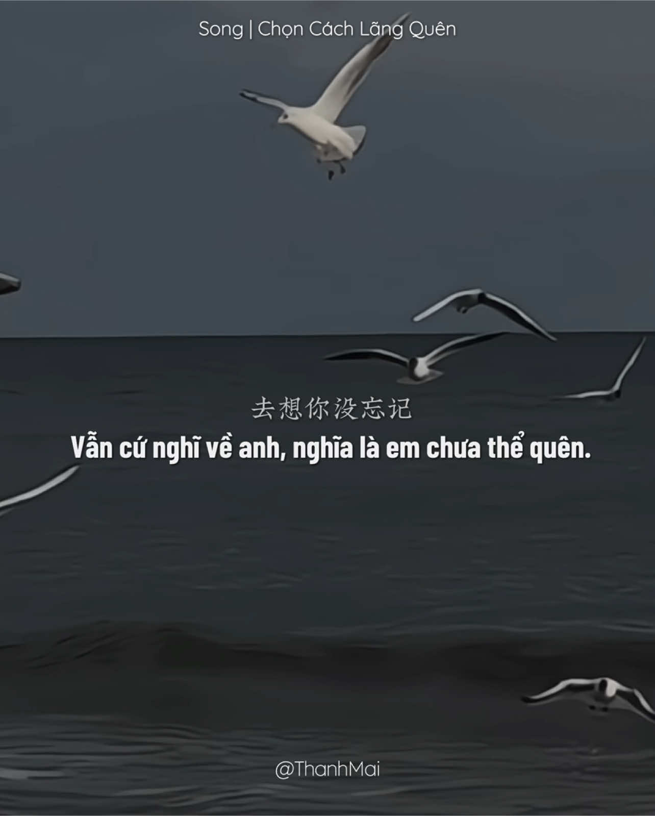 你曾是答案，如今却让所有问题更加混乱。Anh từng là câu trả lời, nhưng giờ chỉ khiến mọi câu hỏi thêm rối. .                                  _                                                                 _  #选择失忆 #nhactrungquoc #lyrics #vietsub #thanhmai02112005 