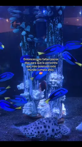 #happybirthday #mayo.                             #cumpleaños #fypシ゚ #paratii #crzgf 