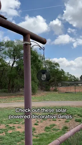 #outdoorlighting #solarlights #summertime #decorativelighting #onsale #itsmay #bluejay_cw 