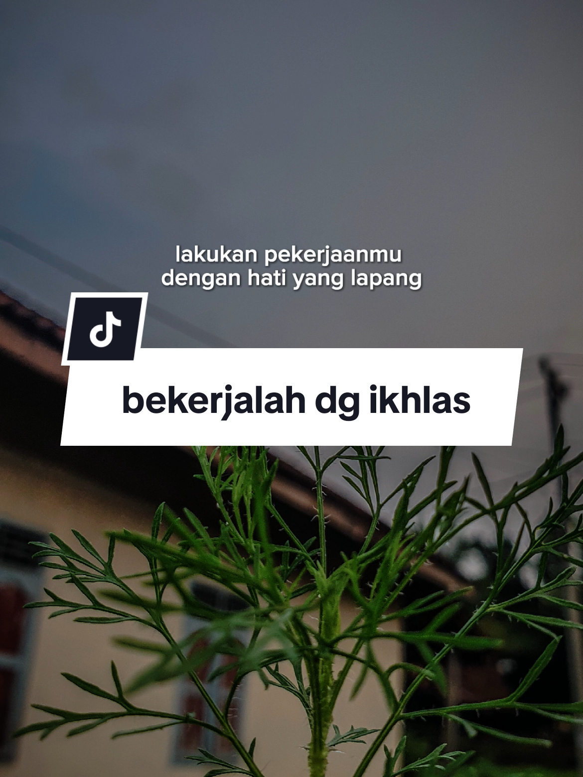 Lakukan pekerjaanmu dengan hati lapang #CapCut #story #fyppppppppppppppppppppppp #viral #tranding #storywa #status #jumat #semangatberjuang #kerjakeras #semangatberjuang #bekerjalah #ikhlas #jujur #rezeki 