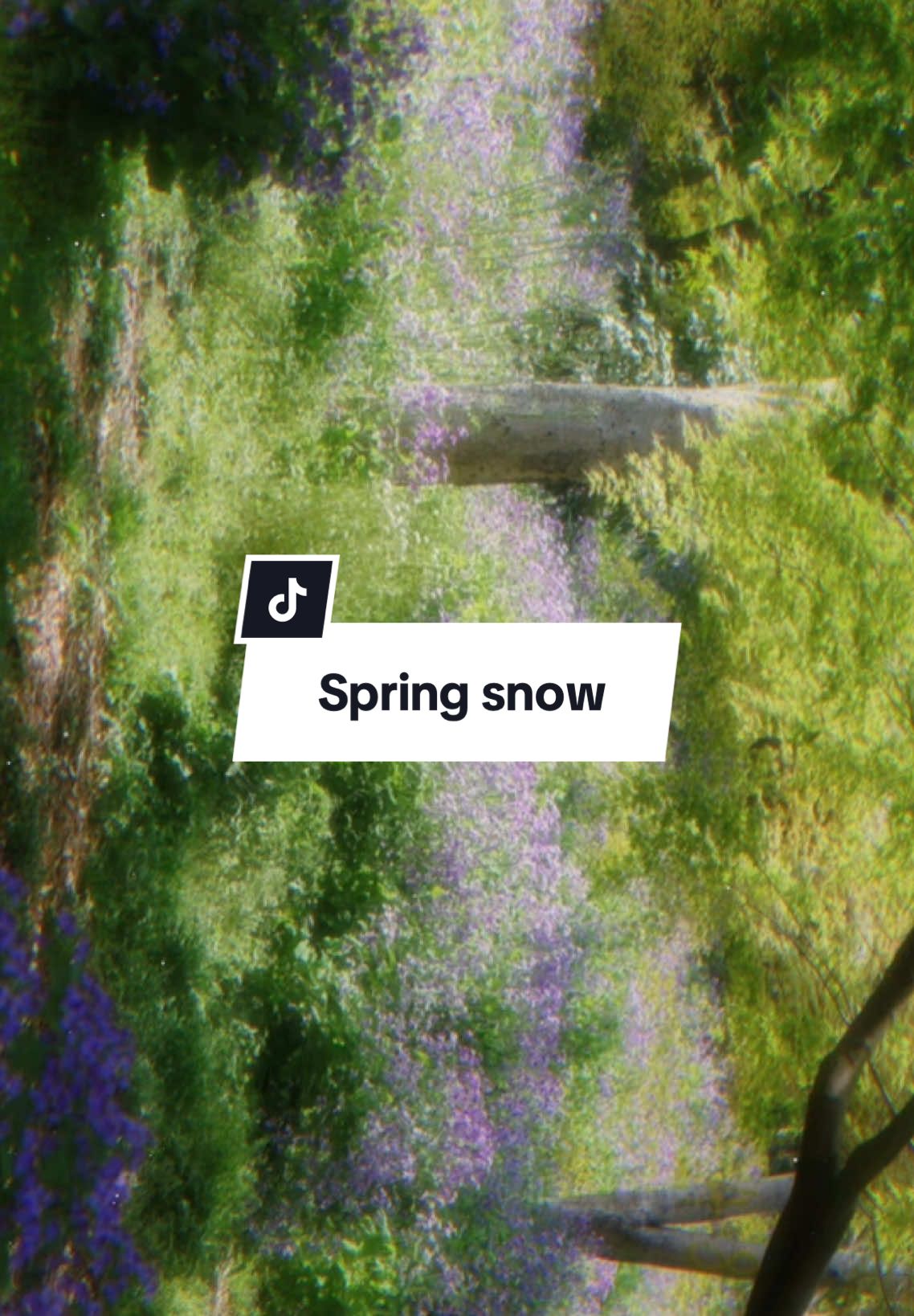 我好像对你一见钟情了。 “yêu em từ cái nhìn đầu tiên” #tdzzzz #CapCut 