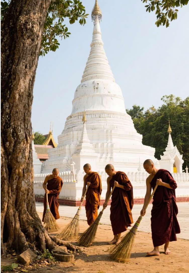 🤍✨🪷 #buddhism #buddha #dhamma #ruwanweliseya #viral #dharmadaily #fyp #foruyou #srilankan_tik_tok🇱🇰 #dharma