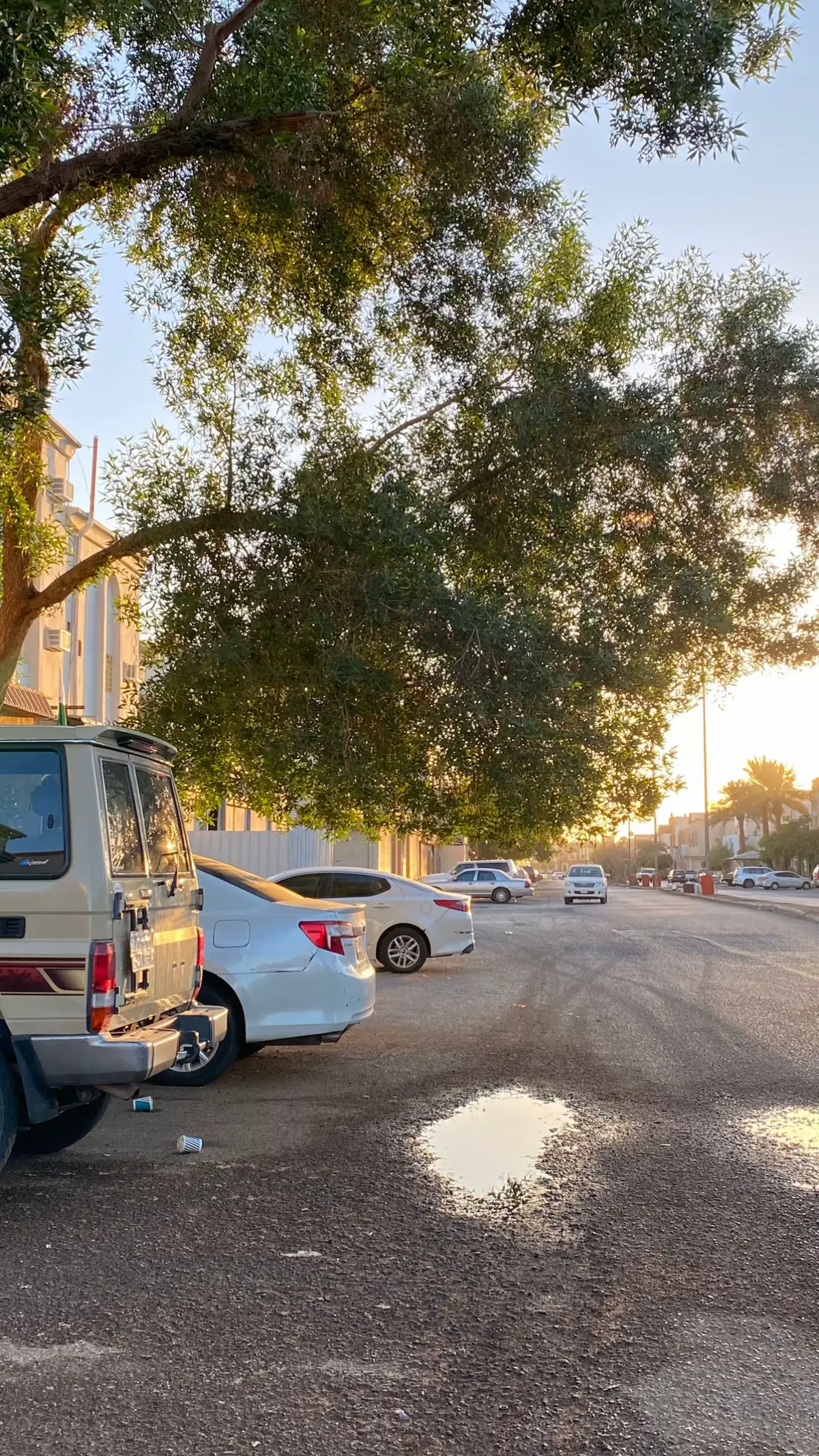 وش رايكم بالاغنيه🫥#fyp #explor #fypシ #foryou #fyyyyyyyyyyyyyyyy #fypシ゚ #محمدعبده #تصويري #اجواء #تصويري📸 #