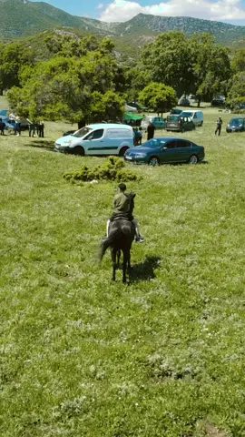 #πρωτομαγιά #αιανη #horseriding 