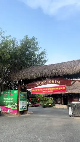 Vườn quốc gia Tràm Chim - Đồng Tháp 🦅🏕️⛰️ #tramchimdongthap #tramchim #vuonquocgiatramchim 
