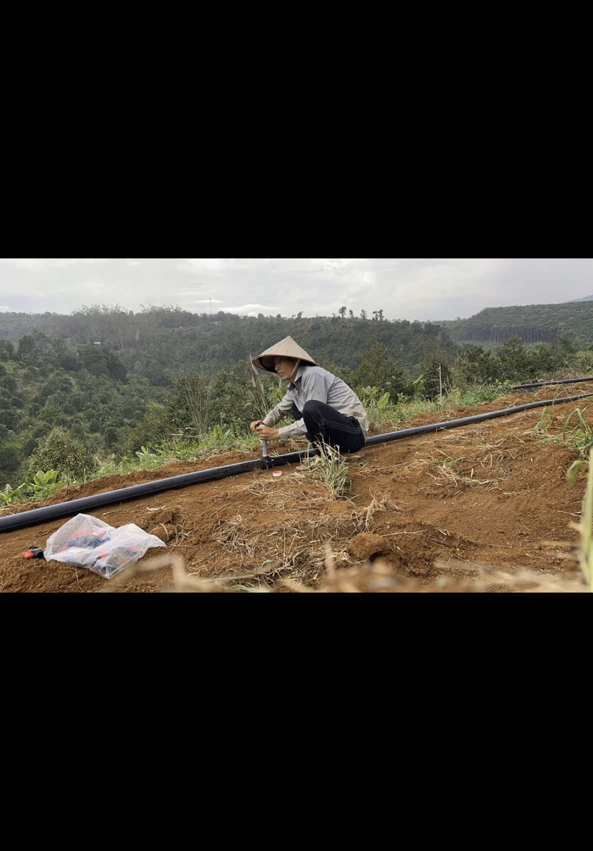 Kết nối ống LDPE với ống HDPE thông qua bộ đai khởi thủy. Sử dụng thêm co PVC để việc chôn ống và sử dụng khóa dễ dàng hơn #lamdong #daknong #trending #ilovetiktok #hot #nongnghiep #vietnam 