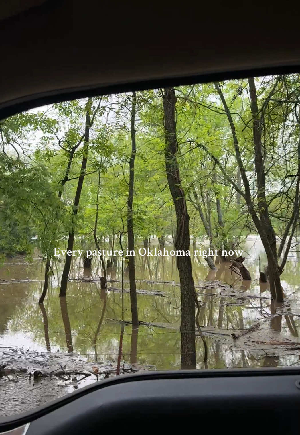 One more day of rain and our dead-end road will be under 🫠 It was like a month ago that we were praying for rain because we were having wildfires everywhere! #oklahomaflood #oklahomaliving #oceanfrontproperty #oklahomaweather 