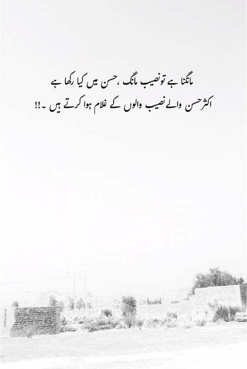 Lines | #growmyaccount #viralvideo #foryoupageofficiall❤️❤️tiktok #aesthetic #viewsproblem #unfrezzmyaccount #foryoupage #urdupoetry #foryoupage #fypシ゚ #fyppppppppppppppppppppppp #its_zidiii 