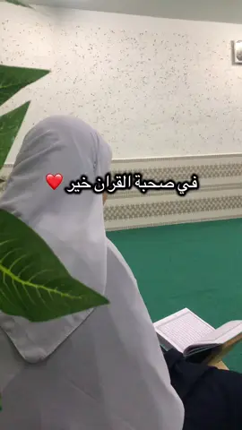 #القران_الكريم #quran #explore #fypp #fyp #قران #tik_tok #tutorial #tutorial #الجزائر #سعوديه #المنشاوي #fyp #غزة #CapCut #CapCut 