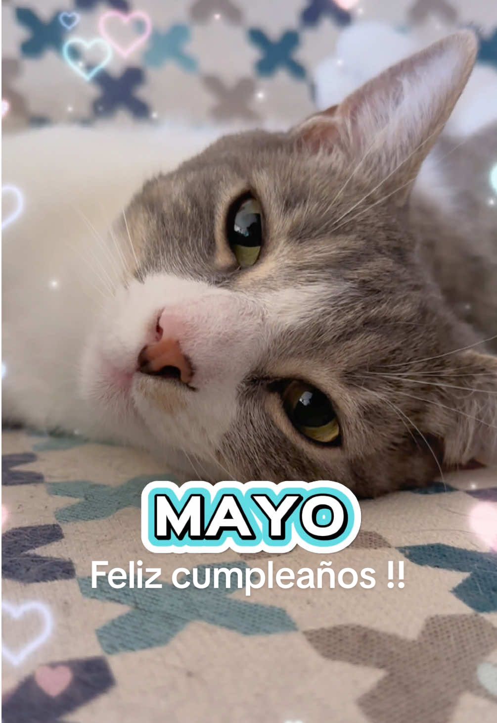 Feliz cumpleaños a los que cumplen en mayo ❤️✨